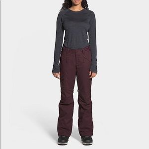 The North Face Freedom Insulated Pants